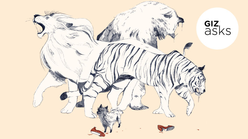 Illustration for article titled Avengers: Infinity War, AMD vs. Intel, and Killer Animals: Best Gizmodo Stories of the Week